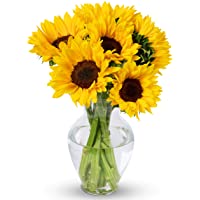 Benchmark Bouquets Yellow Sunflowers, With Vase (Fresh Cut Flowers)