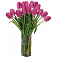 Stargazer Barn- 15 Pretty in Pink Tulips - Vase Included