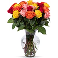 Benchmark Bouquets 2 Dozen Rainbow Roses, With Vase (Fresh Cut Flowers)