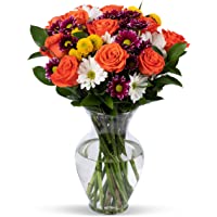 Benchmark Bouquets Life is Good Flowers Orange, With Vase (Fresh Cut Flowers)