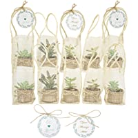 Costa Farms Mini Succulent Fully Rooted Live Indoor Plant, 2-Inch, Complete Party Favor Kit, 10-Pack