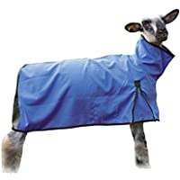 Weaver Livestock Sheep Blanket