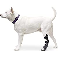 Walkin' Pet Splint for Dogs | Canine Rear Foot Splint Helps Brace Lower Back Limbs