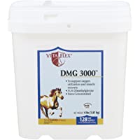 Vita Flex DMG 3000 Concentrate, 128 Day Supply, 4 lbs