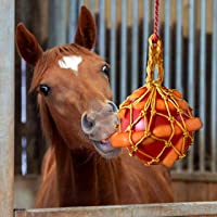 Horse Carrot Feed Toy Hanging Carrot Feeding Toy Horse Treat Ball for Horse Stable Stall Rest
