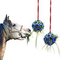 Besimple 2 Pack Horse Treat Ball Hay Feeder Toy, Goat Feeder Ball Hanging Feeding Toy for Horse Goat Sheep Relieve…