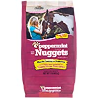 Manna Pro Bite-Size Peppermint Flavored Nuggets