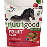 Nutrigood FruitSnax Horse Treats Tasty Horse Treats Packed with Superfoods and Real Fruit Pieces 2 lb