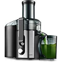 Juicer Centrifugal Machines, Large Juice Extractor for Whole Fruit and Vegetables, BPA Free, 600W Dual Speeds Stainless…