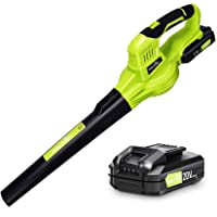 SnapFresh Leaf Blower - 20V Leaf Blower Cordless with Battery & Charger, Electric Leaf Blower for Lawn Care, Battery…