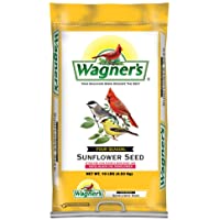 Wagner's 76025 Four Season Black Oil Sunflower Seed Wild Bird Food, 10-Pound Bag
