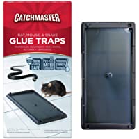 Catchmaster Baited Rat, Mouse and Snake Glue Traps Professional Strength - 6 Glue Trays