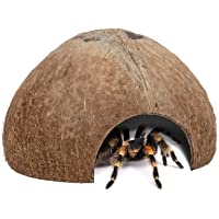 Niteangel 2 Pack Natural Coconut Reptile Hideouts, Lizard, Spider and Aquarium Fish Hide Cave