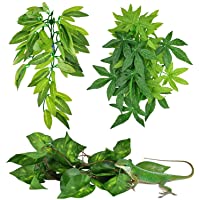 KATUMO Reptile Plants, Amphibian Hanging Plants with Suction Cup for Lizards, Geckos, Bearded Dragons, Snake, Hermit…