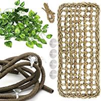 Lizard Bearded Dragon Hammock Set, Natural Grass Fibers Pet Recliner, Flexible Bend-A Branch Jungle Climbing Vines for…