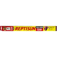 Zoomed Reptisun 22" 10.0 T5HO UV-B Bulb & Includes Attached DBDPet Pro-Tip Guide - Great for Bearded Dragons, and…