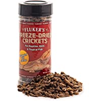 Freeze Dried Crickets, 1.2oz