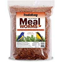 TradeKing 1 lb Dried Mealworms - High Protein Treat for Wild Birds, Chicken, Fish & Reptiles