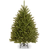 National Tree Company Artificial Mini Christmas Tree, Green, Dunhill Fir, Includes Stand, 4 Feet