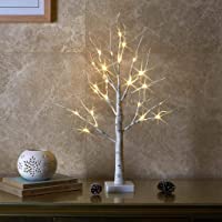 EAMBRITE 2FT 24LT Warm White LED Battery Operated Birch Tree Light with Timer Tabletop Tree Light Jewelry Holder Decor…