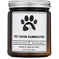 1OAK Pet Odor Candle - Pet Odor Eliminator for Home - Made in USA - pet Candles Odor Eliminator - Dog Odor eliminators…