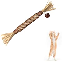 BAWAN Catnip Toys‖ Silvervine for Cats: Cute Cat & Kitten Toys for Indoor Cats Interactive‖ Cat & Kitten Teething Chew…