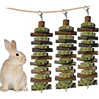 Bunny Chew Toys for Teeth Grinding, Chinchilla Treats Organic Bamboo Sticks Natural Fruitwood Branches for Rabbits…