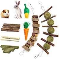 blu&ben Rabbit Chew Toys for Teeth Grinding Rabbit Toys Natural Apple Wood Sticks with Timothy Hay Balls Cage…