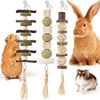 Bissap Bunny Rabbit Chew Toys for Teeth Grinding, Natural Hanging Toss Treats for Guinea Pigs Rats Hamsters Gerbils and…
