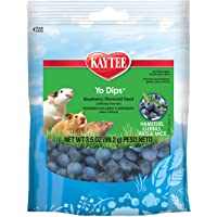 Kaytee Blueberry Flavored Ygurt Dipped Hamsters And Gerbil Treat