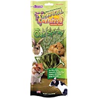 Tropical Carnival F.M. Brown's, Natural Oat Spray Foraging Treat for Mice, Rats, Hamsters, Guinea Pigs, Rabbits and…