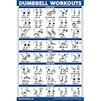 Palace Learning Dumbbell Workout Exercise Poster - Laminated - Free Weight Body Building Guide | Home Gym Chart | Double…