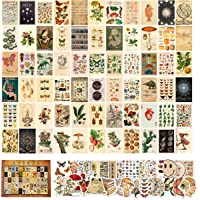 ANERZA Vintage Wall Collage Kit Aesthetic Pictures, Cottagecore Room Decor for Bedroom Aesthetic, Posters for Room…