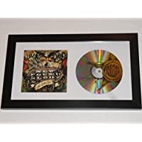 New Found Glory Signed Framed"not Without A Fight" Cd Jordan Pundik 4x Proof - Music Albums