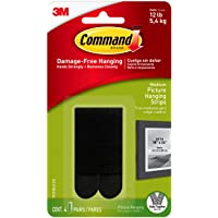 Command Picture Hanging Strips, Holds up to 12 lbs
