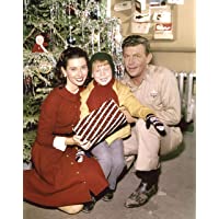 Andy Griffith Elinor Donahue Ronnie Howard 8x10 Photo #X1160