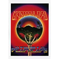 Grateful Dead The Official Book of the Deadheads 1983 Promotion Flyer