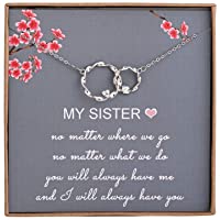 Sister Gifts from Sister - Sterling Silver Interlocking Infinity 2 Circles Necklace for Sisters, Birthday Jewelry…