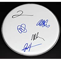 The Foo Fighters Group Signed - Autographed Drumhead by Dave Grohl, Nate Mendel, Taylor Hawkins, Pat Smear, and Chris…