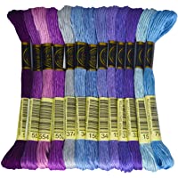 Premium Rainbow Color Embroidery Floss - Cross Stitch Threads - Friendship Bracelets Floss - Crafts Floss - 14 Skeins…
