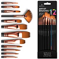 Professional Artist Paint Brush Set of 12 - Painting Brushes Kit for Kids, Adults Fabulous for Canvas, Watercolor…