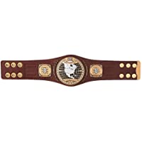 WWE Authentic Wear NXT North American Championship Mini Replica Title Belt Multi