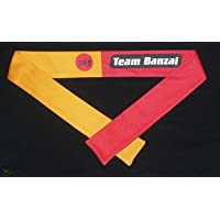 RARE Buckaroo Banzai"Team Banzai" 1984 Promotional Headband sm