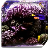 Aquarium Radiance HD - Wallpaper & Themes
