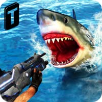 Shark Sniping 2020
