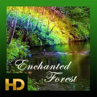 Enchanted Forest HD