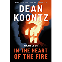 In the Heart of the Fire (Nameless: Season One Book 1)