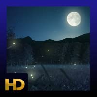 Enchanted Night HD
