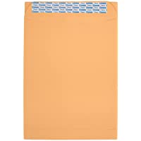 Mead Press-It Seal-It Envelopes, 10 x 13 Inches, Office Pack 20 Count (76088)