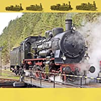 Fast train- & passenger train locomotives - The most important series model & original